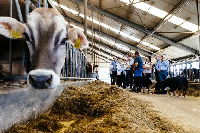 Nutreco werkbezoek boerderij